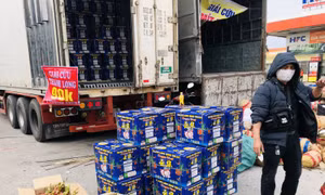 Đa dạng thị trường để giải bài toán tiêu thụ thanh long