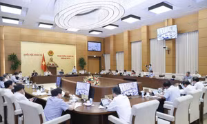 Làm rõ nguyên nhân, trách nhiệm trong thực hiện pháp luật về quy hoạch