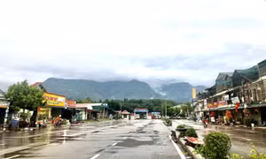 Mùa Xuân mới nơi biên giới Mường Nhé