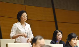 Chính quyền địa phương 2 cấp đã chuyển trạng thái từ thụ động sang chủ động quản trị 