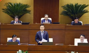 Phó Thủ tướng Lê Thành Long giải trình, làm rõ một số vấn đề đại biểu Quốc hội nêu