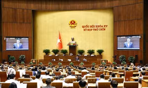 Đề xuất thí điểm Viện Kiểm sát khởi kiện vụ án dân sự công ích tại 6 địa phương