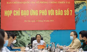 Các tỉnh, thành phố từ Quảng Ninh đến Phú Yên chủ động ứng phó với bão, mưa lũ
