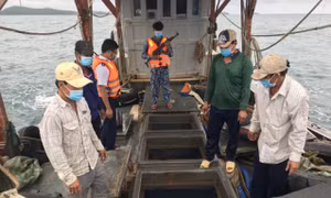Bắt giữ tàu vận chuyển 50.000 lít dầu DO trái phép