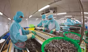 Đột phá thúc đẩy phát triển kinh tế - xã hội 