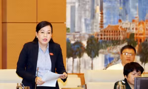 Chất lượng công trình xây dựng xuống cấp, ‘rút ruột công trình’ cần được làm rõ trong việc sửa đổi Luật Xây dựng