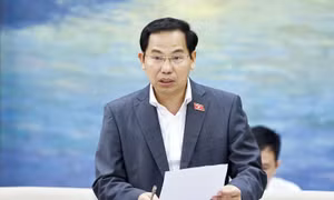 Công bố Trang thông tin Bầu cử Đại biểu Quốc hội khóa XVI và HĐND các cấp nhiệm kỳ 2026-2031