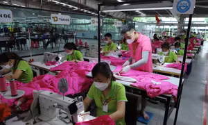 Doanh nghiệp là nền tảng, động lực cho sự tăng trưởng kinh tế