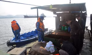 Cảnh sát biển tạm giữ 20.000 lít dầu DO không rõ nguồn gốc