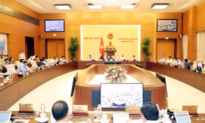 Hoàn thiện quy định cho người đi 'xuất khẩu lao động'
