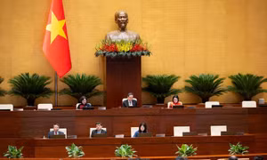 Tăng cường thanh tra, kiểm tra, xử lý vi phạm trong hoạt động xuất bản