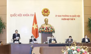 Thông qua nghị quyết giảm thuế bảo vệ môi trường đối với xăng dầu