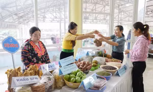 Phụ nữ Việt Nam phát huy năng lực, sức sáng tạo để khởi nghiệp, phát triển