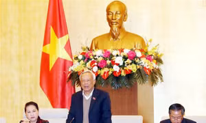 Ủy ban Thường vụ Quốc hội thống nhất cao đề án sắp xếp các đơn vị hành chính 6 tỉnh, thành phố 