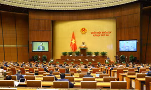 Ngày 23/10, Quốc hội tiếp tục thảo luận các dự án Luật và báo cáo công tác phòng, chống tội phạm