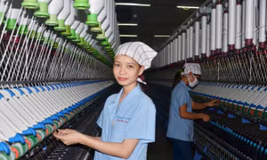 Cô gái có bàn tay ‘vàng’ của thành phố dệt Nam Định