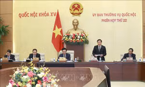 Ủy ban Thường vụ Quốc hội cho ý kiến về dự kiến Chương trình xây dựng luật, pháp lệnh năm 2024