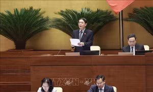 Đầu tư công trung hạn có trọng tâm, trọng điểm 