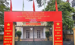 Các thành viên trong tổ bầu cử có trách nhiệm gì?