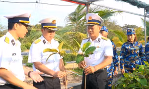 Vùng 4 Hải quân ươm, chiết, nhân giống 30.000 cây trồng thực hiện ‘Xanh hóa Trường Sa’