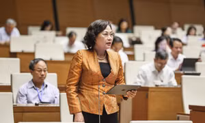 Thống đốc Nguyễn Thị Hồng: Nếu phụ thuộc vào vốn tín dụng ngân hàng sẽ tiềm ẩn nhiều rủi ro