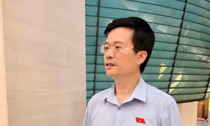 Bảo đảm an toàn cho nhà báo khi tác nghiệp là ưu tiên hàng đầu