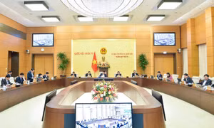 Trưởng Ban Dân nguyện thuộc Ủy ban Thường vụ Quốc hội Dương Thanh Bình trình bày báo cáo tại Phiên họp