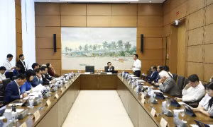 Bộ trưởng Bộ Nội vụ Phạm Thị Thanh Trà phát biểu tại phiên thảo luận ở tổ sáng 22/10.