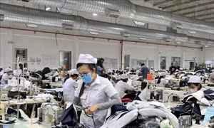 Những chỉ đạo, điều hành của Chính phủ, Thủ tướng Chính phủ nổi bật tuần từ 22 - 26/5