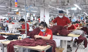 Bộ Tài chính xây dựng biểu thuế xuất khẩu ưu đãi thực hiện Hiệp định CPTPP áp dụng đối với 603 dòng thuế 