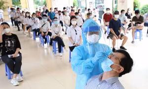 Cấp bách triển khai những nhiệm vụ cho năm học mới 2021-2022