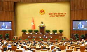 Ngày 27/5, Quốc hội thảo luận dự án Luật sửa đổi, bổ sung một số điều của Bộ luật Hình sự