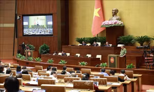 Cần thiết ban hành Luật Lực lượng tham gia bảo vệ an ninh, trật tự ở cơ sở