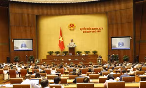 Đề nghị nghiên cứu hình thức 'tù tại gia' để giảm quá tải trại giam