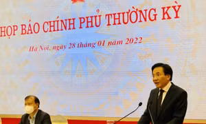 Chính phủ tạo điều kiện thuận lợi nhất cho người dân về quê đón Tết