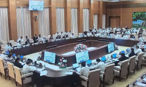 Nạn chuyển giá vẫn rất nhức nhối