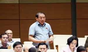 Bộ trưởng Nguyễn Văn Hùng: Vướng mắc kinh phí chi cho trọng tài SEA Games 31 cơ bản được giải quyết