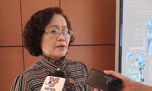 Đại biểu Trần Thị Quốc Khánh: Yêu cầu các doanh nghiệp phải lắp đặt quan trắc môi trường