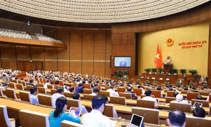 Ngày 8/11, Quốc hội thảo luận về công tác phòng, chống tham nhũng năm 2022