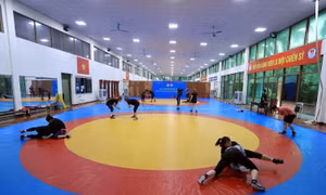 Khuyến khích các địa phương tạo điều kiện cho người dân được xem miễn phí các trận đấu