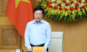 Phó Thủ tướng Thường trực Chính phủ Phạm Bình Mình vừa ký ban hành Nghị định quy định về nghỉ hưu ở tuổi cao hơn đối với cán bộ, công chức giữ chức vụ lãnh đạo, quản lý