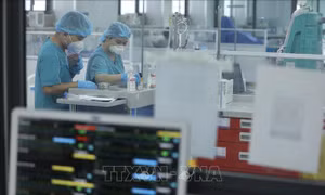 Những chỉ đạo, điều hành nổi bật của Chính phủ, Thủ tướng tuần 19 - 23/6