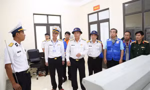 ‘Những đôi mắt thần’ trên đảo Hòn Khoai