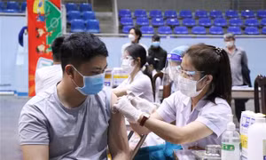 Những chỉ đạo, điều hành của Chính phủ, Thủ tướng Chính phủ nổi bật tuần từ 11-15/7