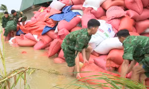 Lực lượng vũ trang giúp dân khắc phục hậu quả bão số 5