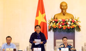 Hoạt động nghệ thuật biểu diễn ‘nhiều trái ngọt nhưng không thiếu trái đắng’
