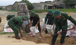 Quân đội điều động 263.200 cán bộ, chiến sĩ, dân quân và 3.380 phương tiện ứng phó bão Noru