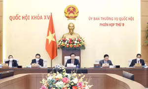 Sắp xếp các đơn vị hành chính bước đầu đã đem lại hiệu quả