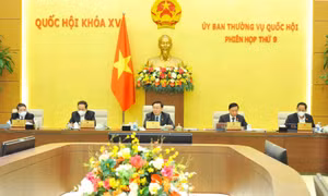 Chế độ lao động có vai trò rất quan trọng trong giáo dục cải tạo phạm nhân