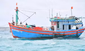 Đảo Sơn Ca hỗ trợ tàu cá ngư dân Gia Lai gặp sự cố trên biển